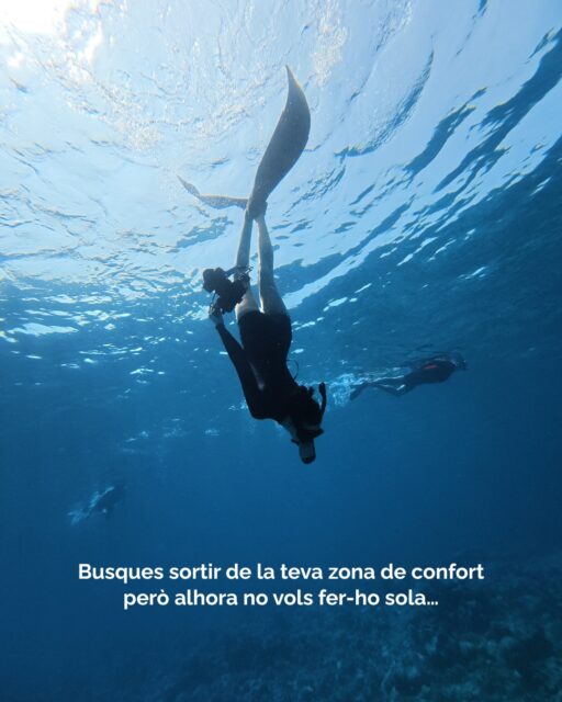 Si et dones mil excuses per no acabar de donar el pas i sortir per fi de la teva zona de confort, que sàpigues que no estàs sola. Moltes viatgeres comparteixen aquestes mateixes pors amb mi.  La màgia passa fora les parets de la rutina.  I tu ets l'única que pot atravessar-les.  Si per tu atravessar-les significa viatjar lluny de casa per conèixer una nova cultura i per viure el mar des de dins com mai ho has fet abans, acompanya'ns al nostre pròxim viatge a la Maldives local.  Queden poques places!  Escriu-me i en parlem :)