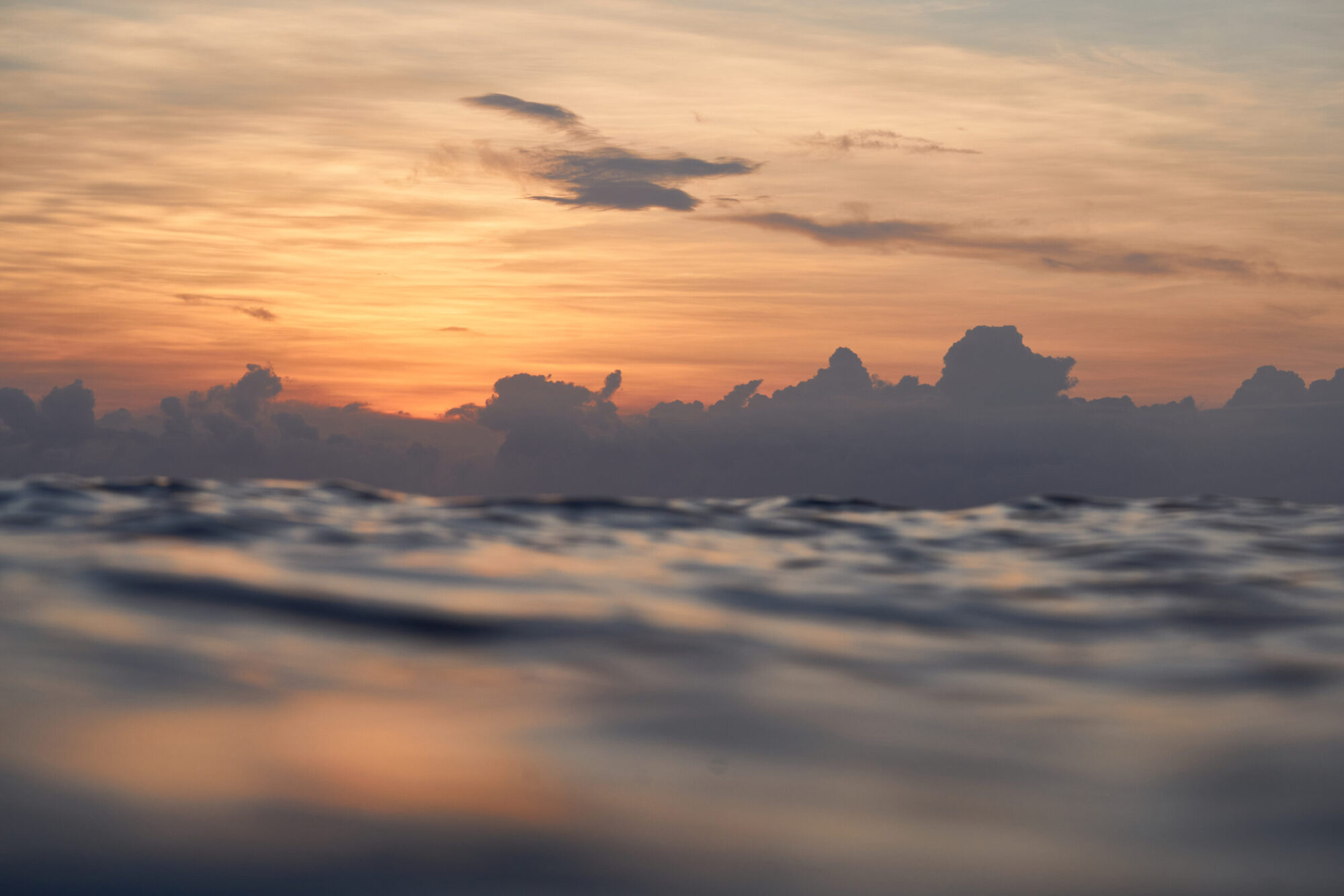 Posta de sol viatge mar dones Thalassa